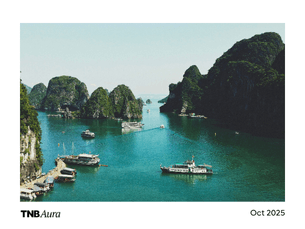 Vietnam a desirable destination for regional VCs